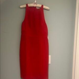 Calvin Klein Vibrant Red Dress